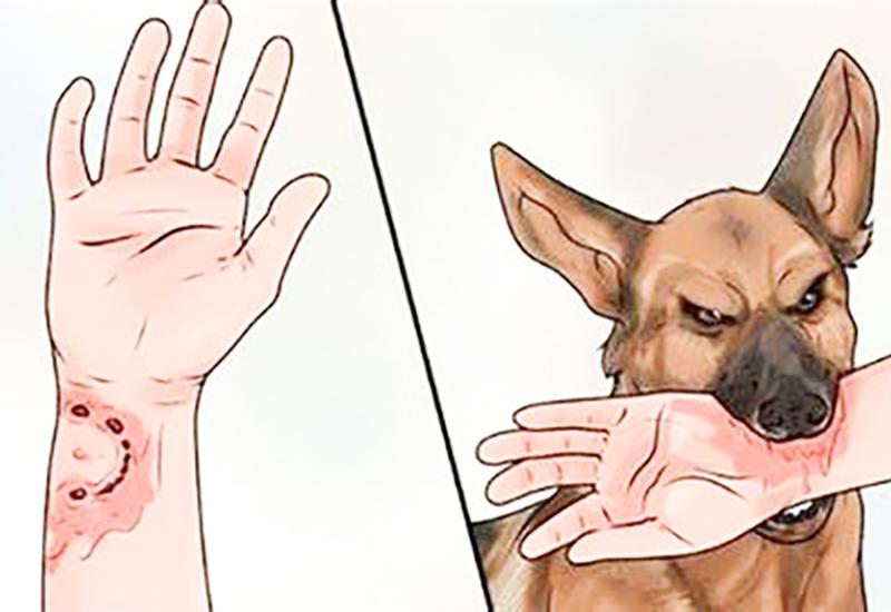 Tuyên truyền phòng chống bệnh dại