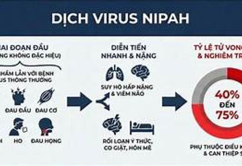 Bộ Y tế nhận định nguy cơ bệnh do virus Nipah xâm nhập