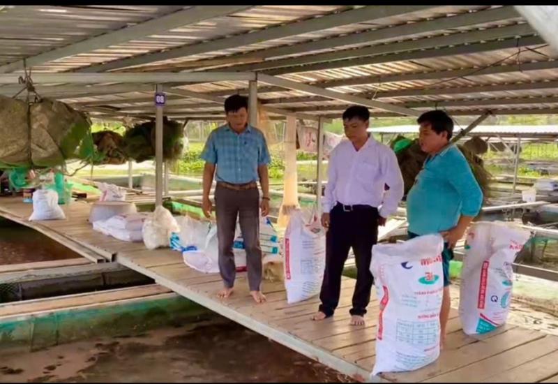 Tình hình chăn nuôi Thủy Sản trên địa bàn xã Long Kiến