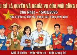 BÁO CÁO Tình hình và kết quả sơ bộ cuộc bầu cử đại biểu Quốc hội khóa XVI và đại biểu Hội đồng nhân dân các cấp nhiệm kỳ 2026 -2031 ngày bầu cử 15/3/2026