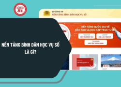 Hướng dẫn đăng nhập nền tảng Bình dân học vụ số